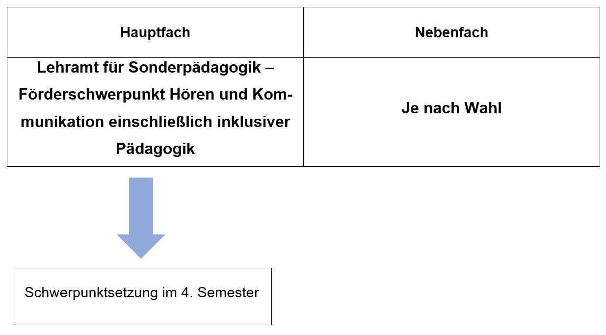 Studiengangsplanung