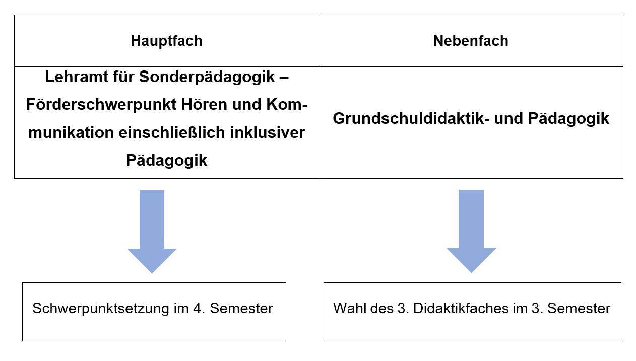 Studiengangsplanung