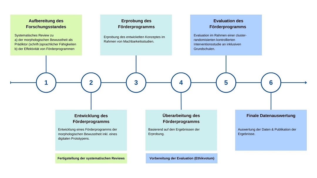 Projektphasen_MB